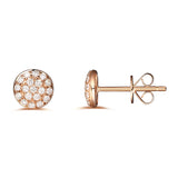 Rose Gold Fashion Diamond Earrings - S2012132